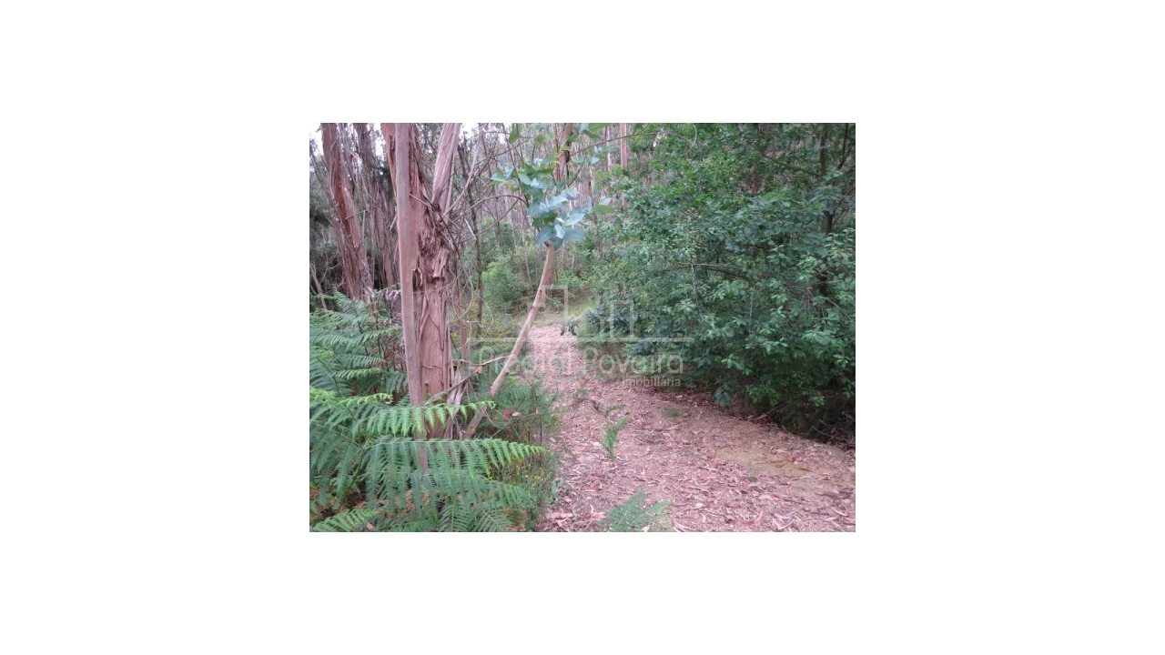 Terreno para Venda em Gondifelos, Cavalões e Outiz Foto 6