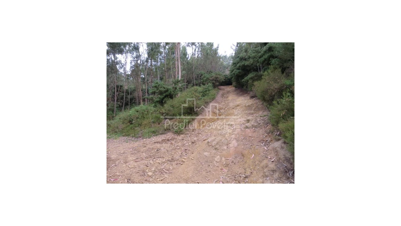 Terreno para Venda em Gondifelos, Cavalões e Outiz Foto 7