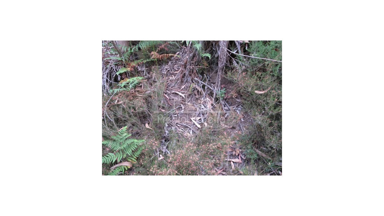 Terreno para Venda em Gondifelos, Cavalões e Outiz Foto 8