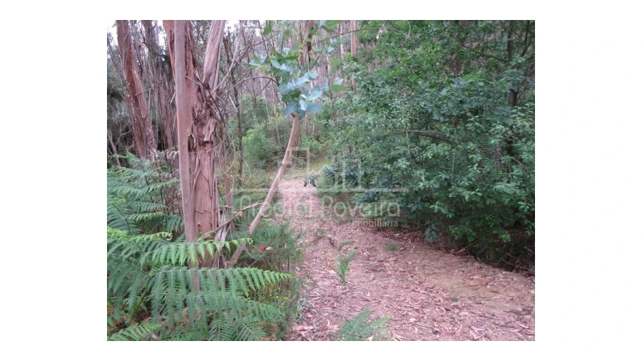 Terreno para Venda em Gondifelos, Cavalões e Outiz Foto 6