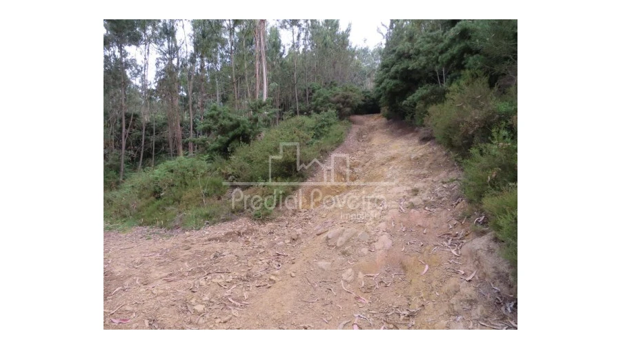 Terreno para Venda em Gondifelos, Cavalões e Outiz Foto 7