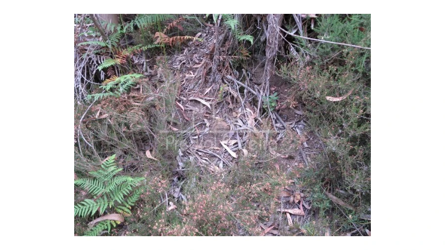 Terreno para Venda em Gondifelos, Cavalões e Outiz Foto 8