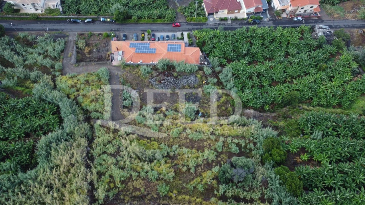 Terreno para Venda em Paul do Mar Foto 4