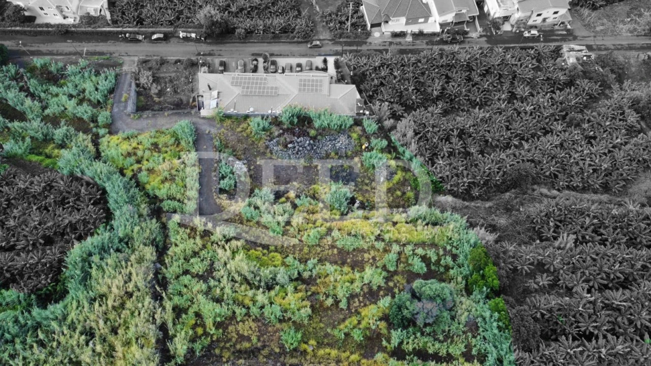 Terreno para Venda em Paul do Mar Foto 5