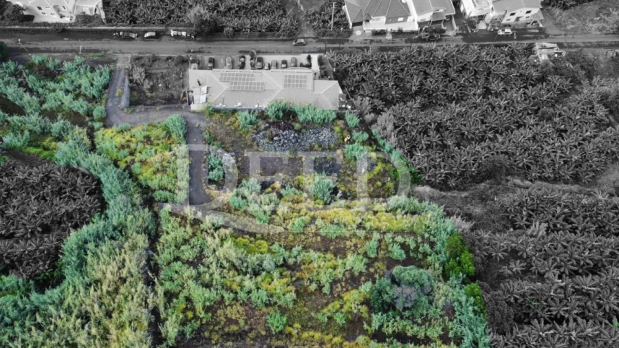 Terreno para Venda em Paul do Mar Foto 5