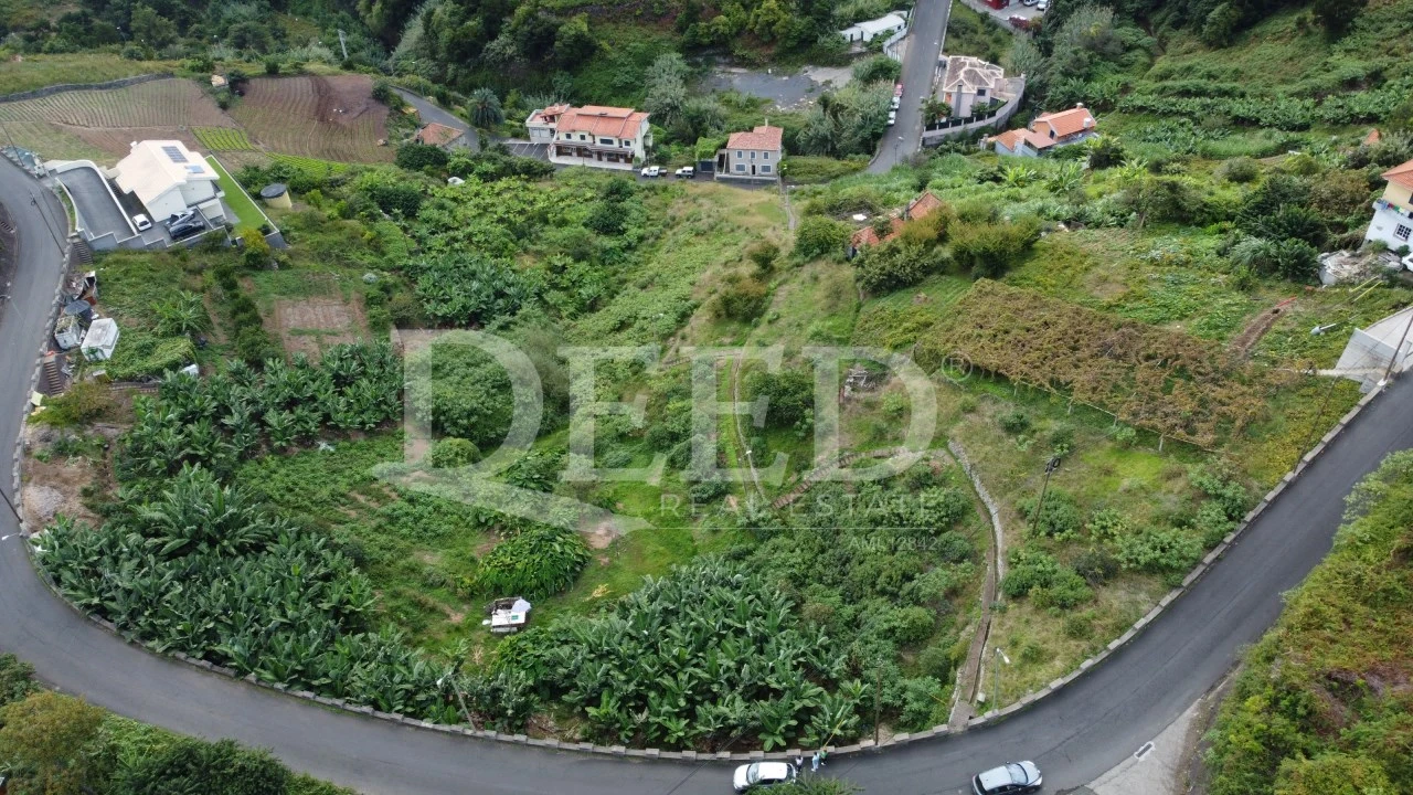 Terreno para Venda em Porto da Cruz Foto 5