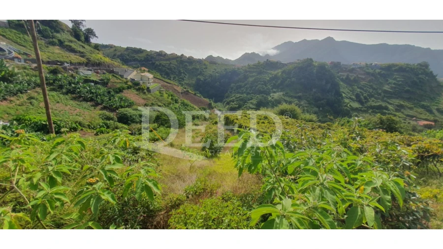 Terreno para Venda em Porto da Cruz Foto 3