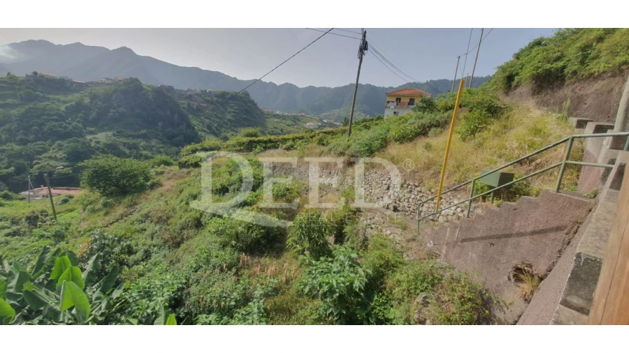 Terreno para Venda em Porto da Cruz Foto 4