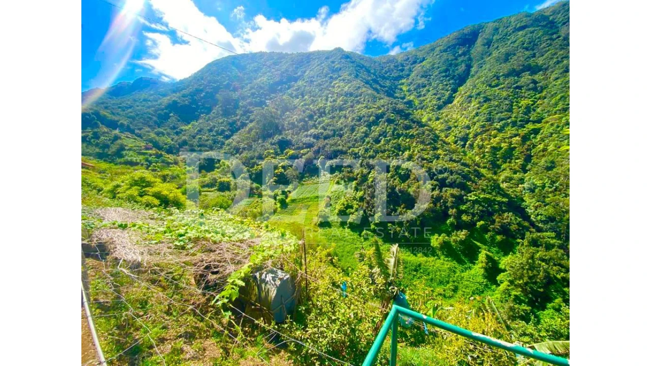 Terreno para Venda em Porto da Cruz Foto 3