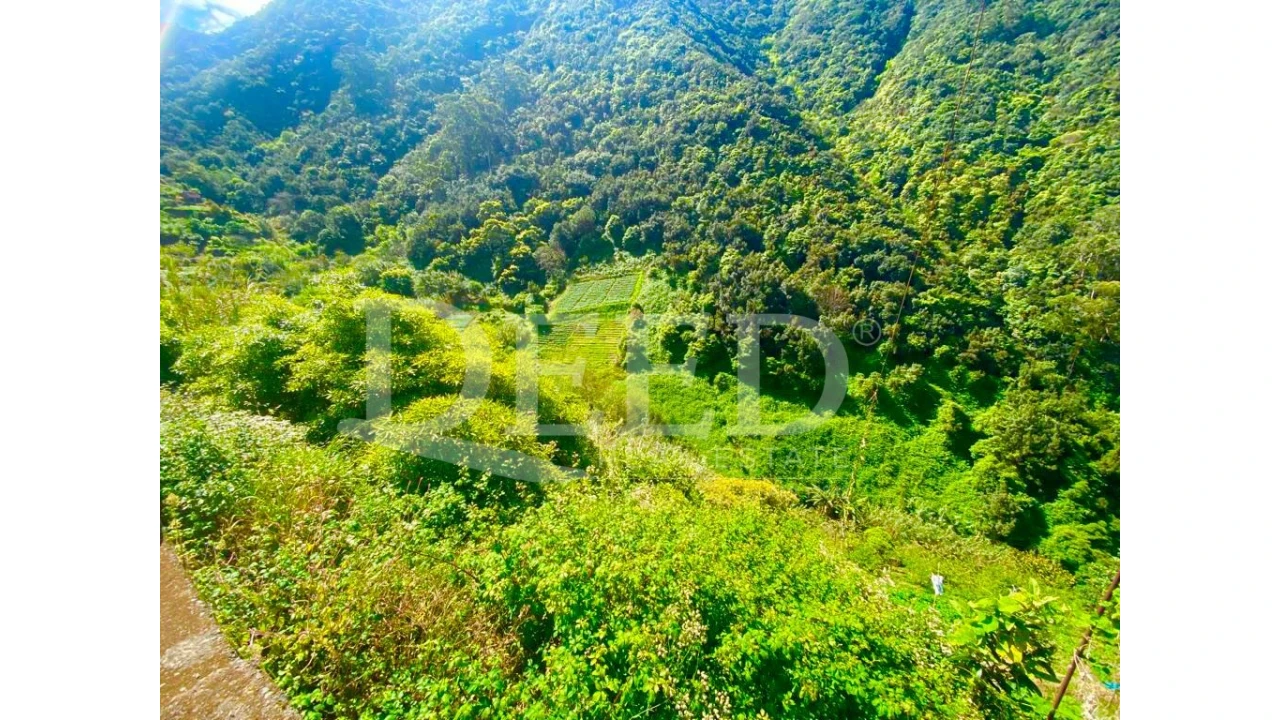 Terreno para Venda em Porto da Cruz Foto 1