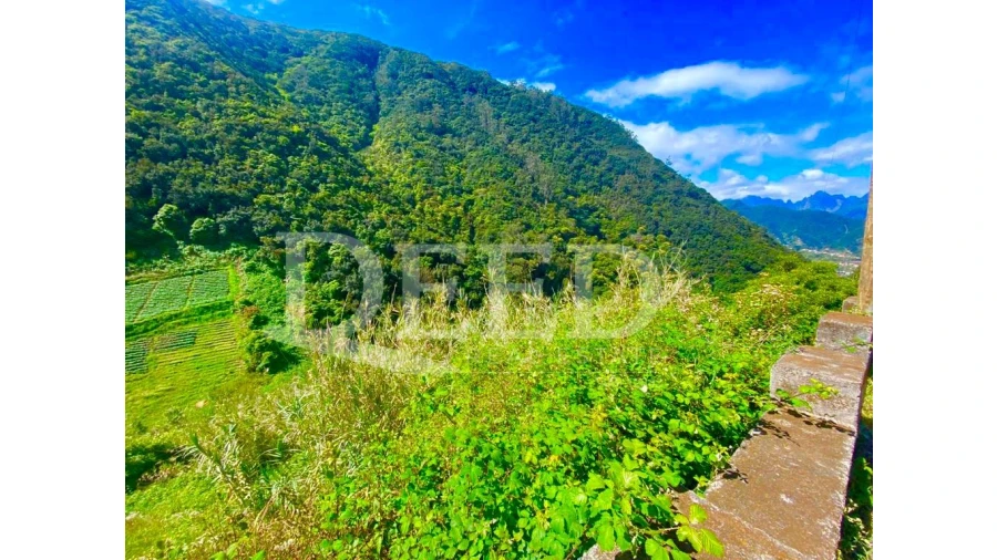 Terreno para Venda em Porto da Cruz Foto 2