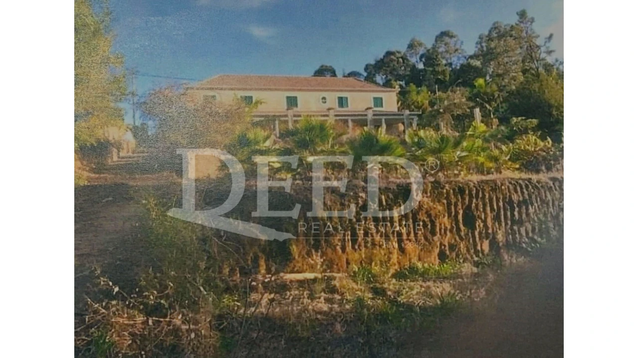 Moradia para Venda em São Jorge Foto 4