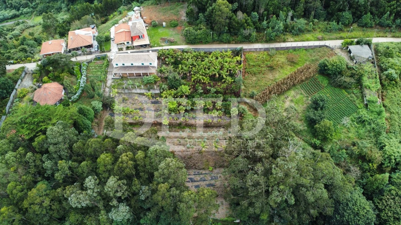 Moradia para Venda em São Jorge Foto 3