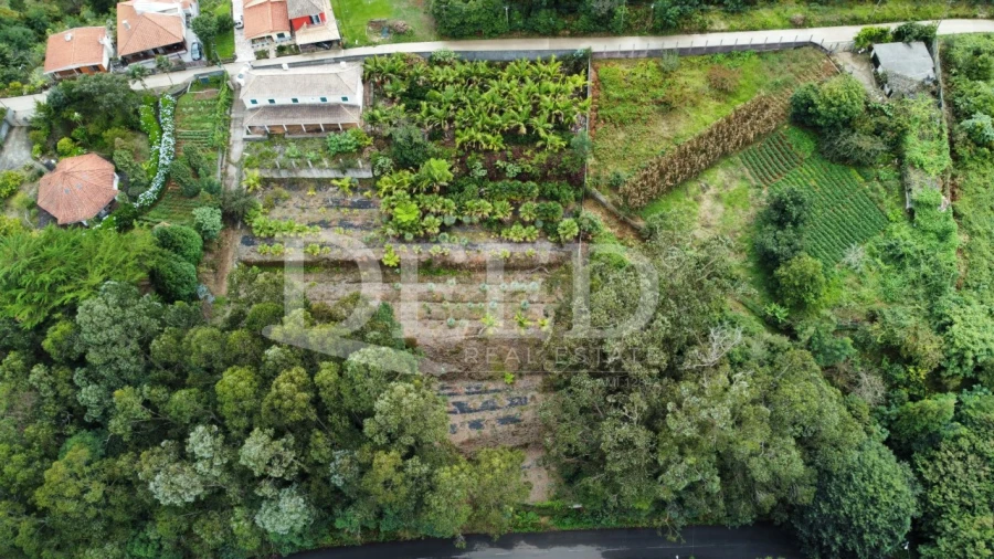 Moradia para Venda em São Jorge Foto 7