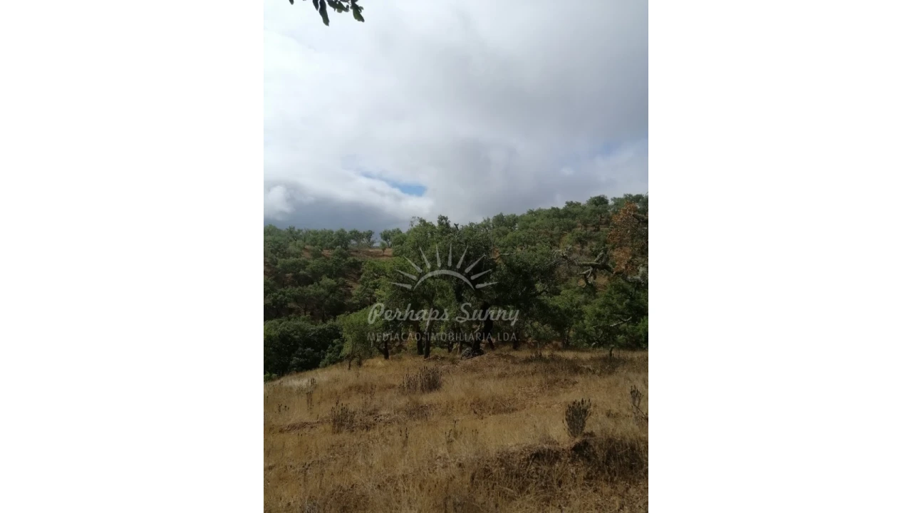 Terreno Agricola ou Rústico para Venda em Grândola e Santa Margarida da Serra Foto 1