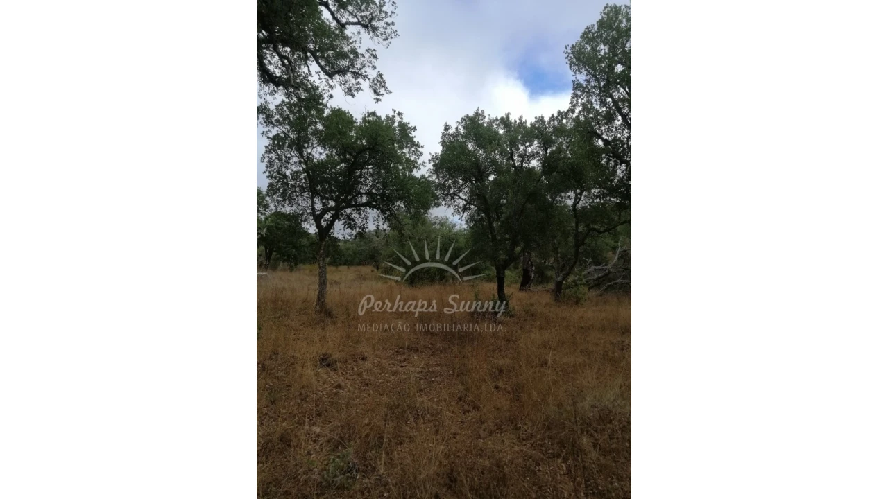 Terreno Agricola ou Rústico para Venda em Grândola e Santa Margarida da Serra Foto 3