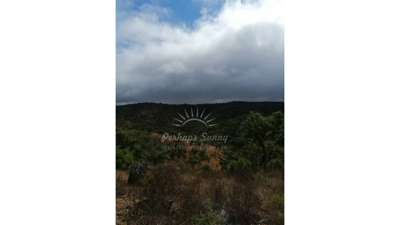 Terreno Agricola ou Rústico para Venda em Grândola e Santa Margarida da Serra Foto 4