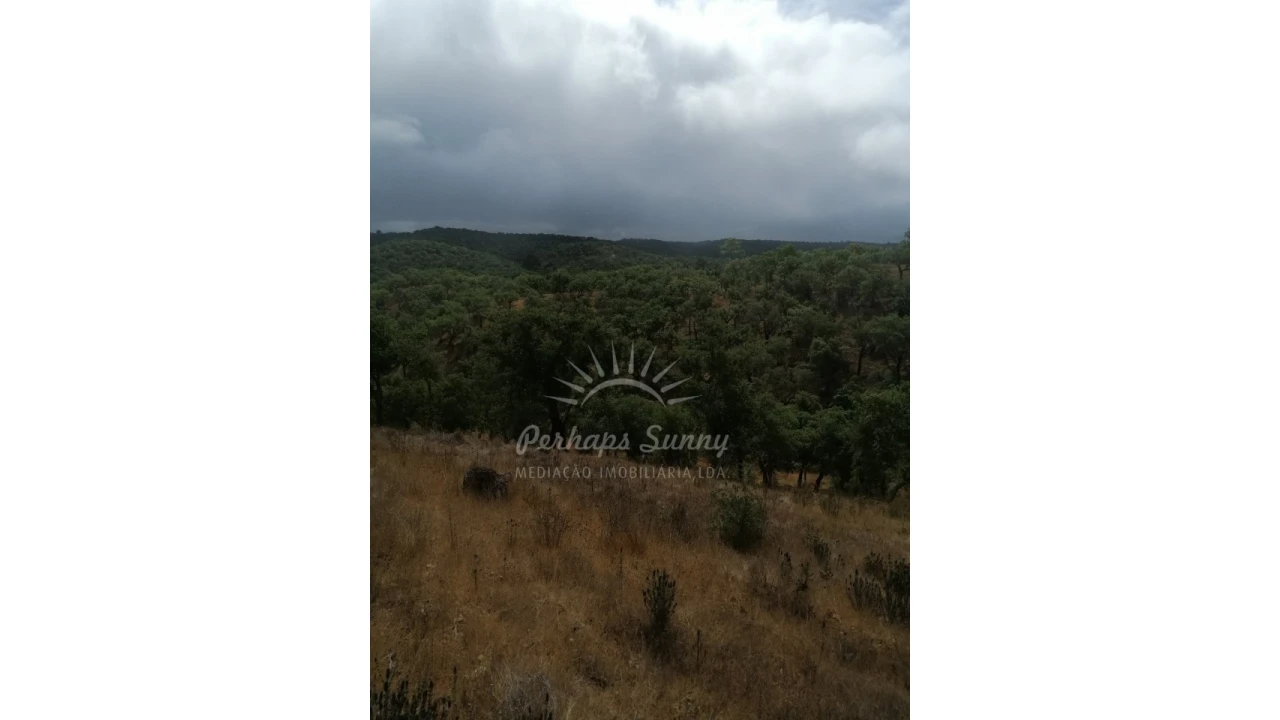 Terreno Agricola ou Rústico para Venda em Grândola e Santa Margarida da Serra Foto 5