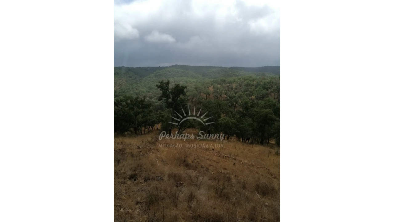 Terreno Agricola ou Rústico para Venda em Grândola e Santa Margarida da Serra Foto 6