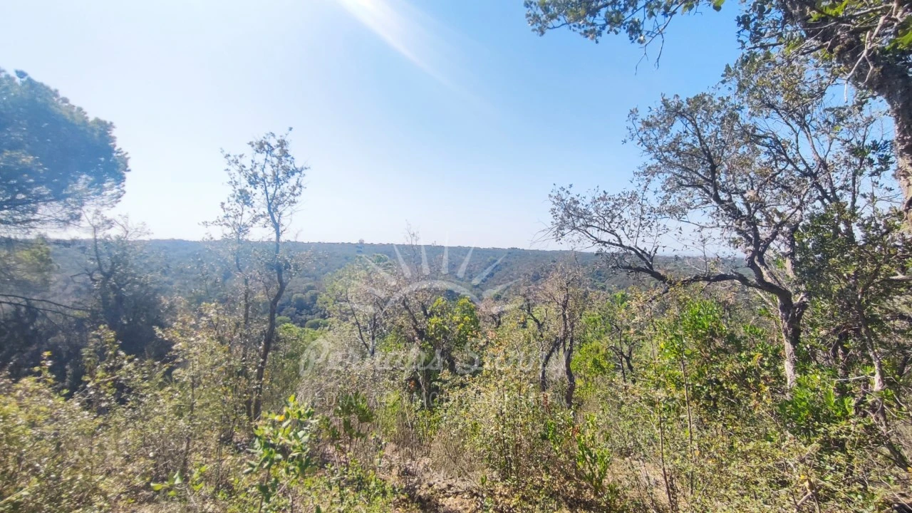 Terreno Agricola ou Rústico para Venda em São Francisco da Serra Foto 4