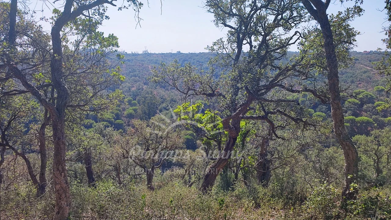 Terreno Agricola ou Rústico para Venda em São Francisco da Serra Foto 5
