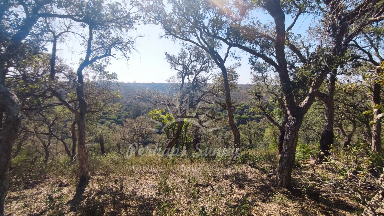 Terreno Agricola ou Rústico para Venda em São Francisco da Serra Foto 9