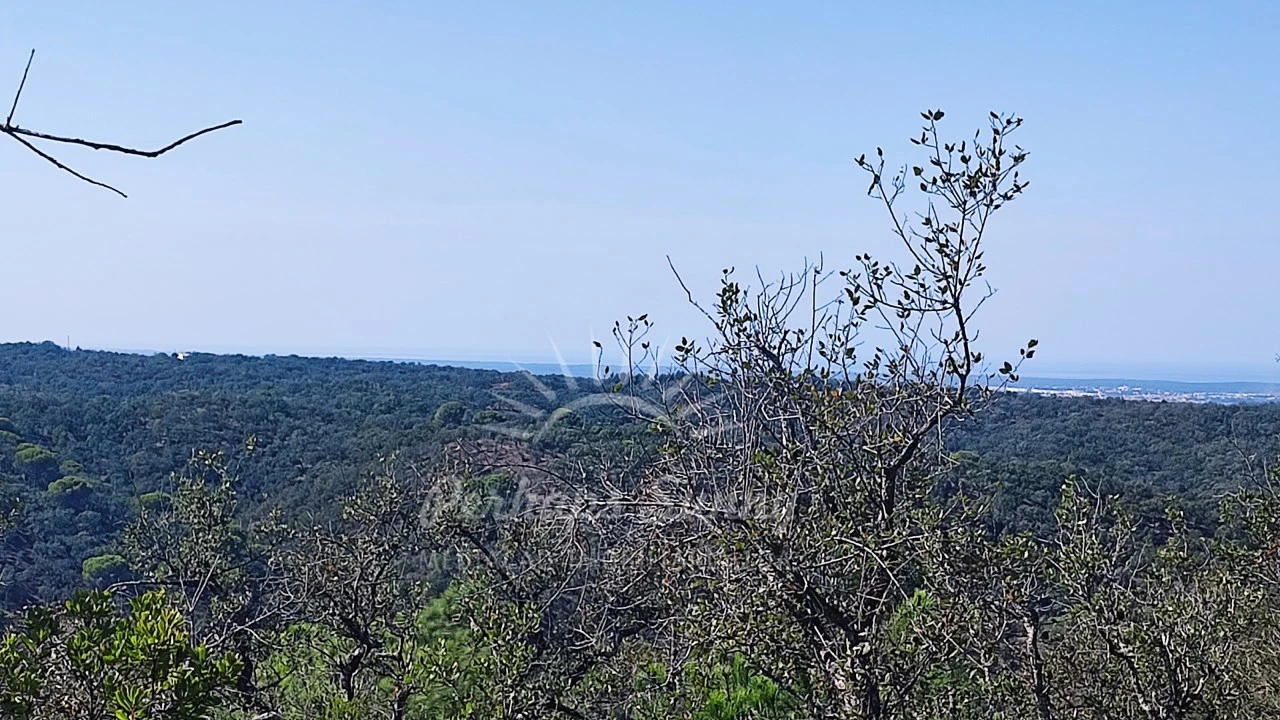Terreno Agricola ou Rústico para Venda em São Francisco da Serra Foto 11