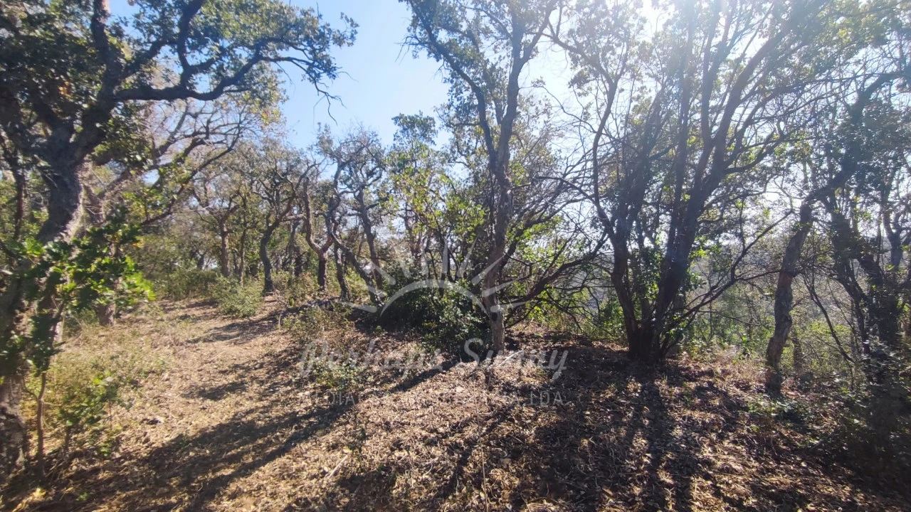 Terreno Agricola ou Rústico para Venda em São Francisco da Serra Foto 12