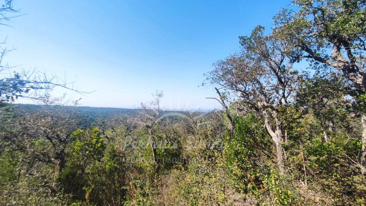Terreno Agricola ou Rústico para Venda em São Francisco da Serra Foto 2