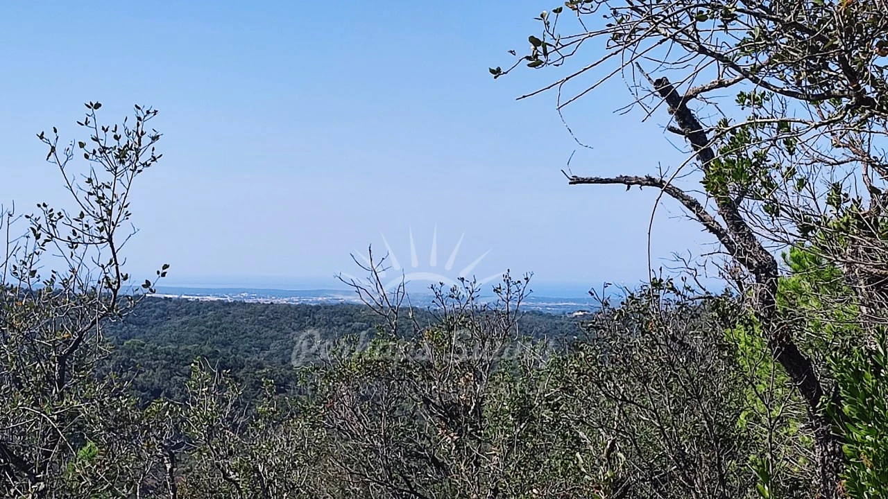 Terreno Agricola ou Rústico para Venda em São Francisco da Serra Foto 14