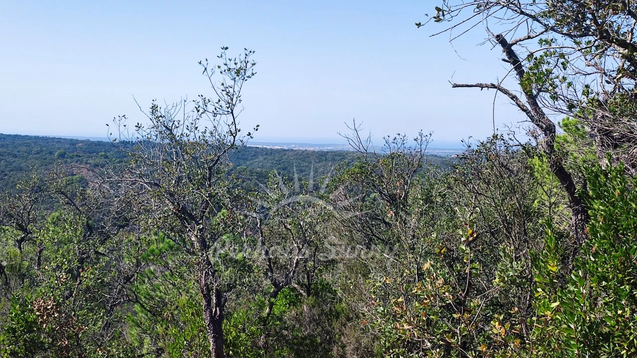 Terreno Agricola ou Rústico para Venda em São Francisco da Serra Foto 16