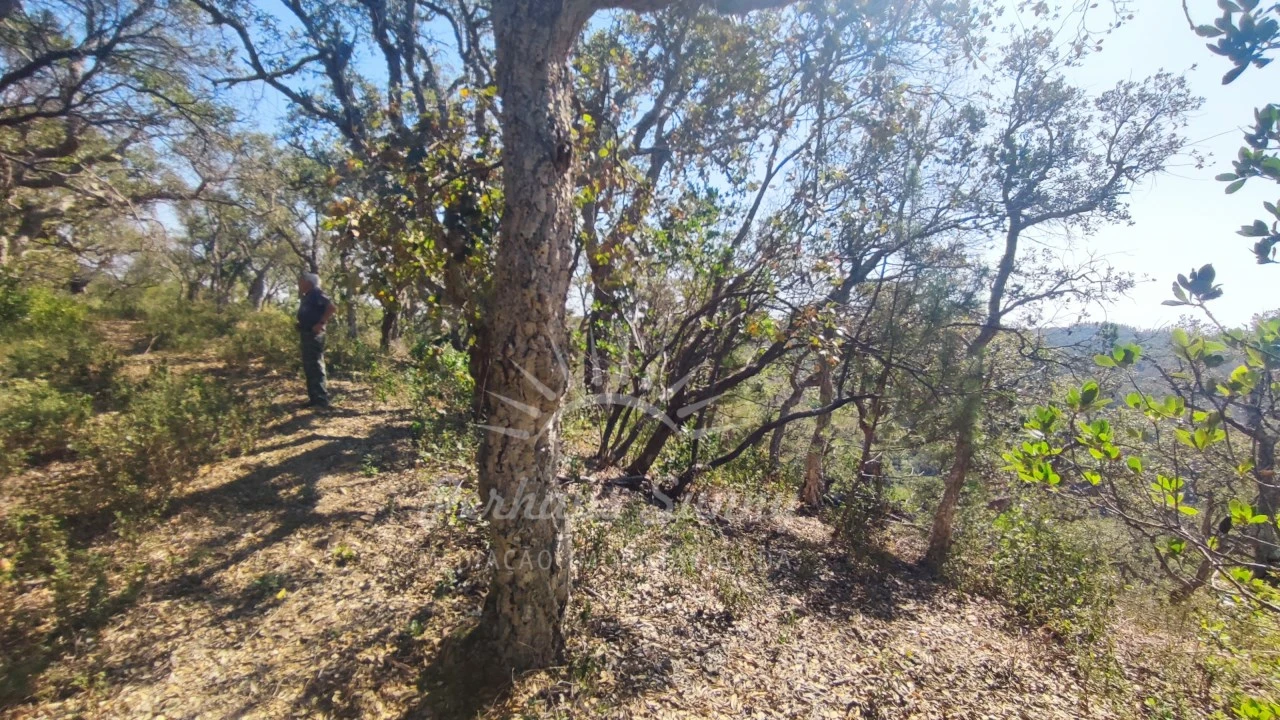Terreno Agricola ou Rústico para Venda em São Francisco da Serra Foto 18