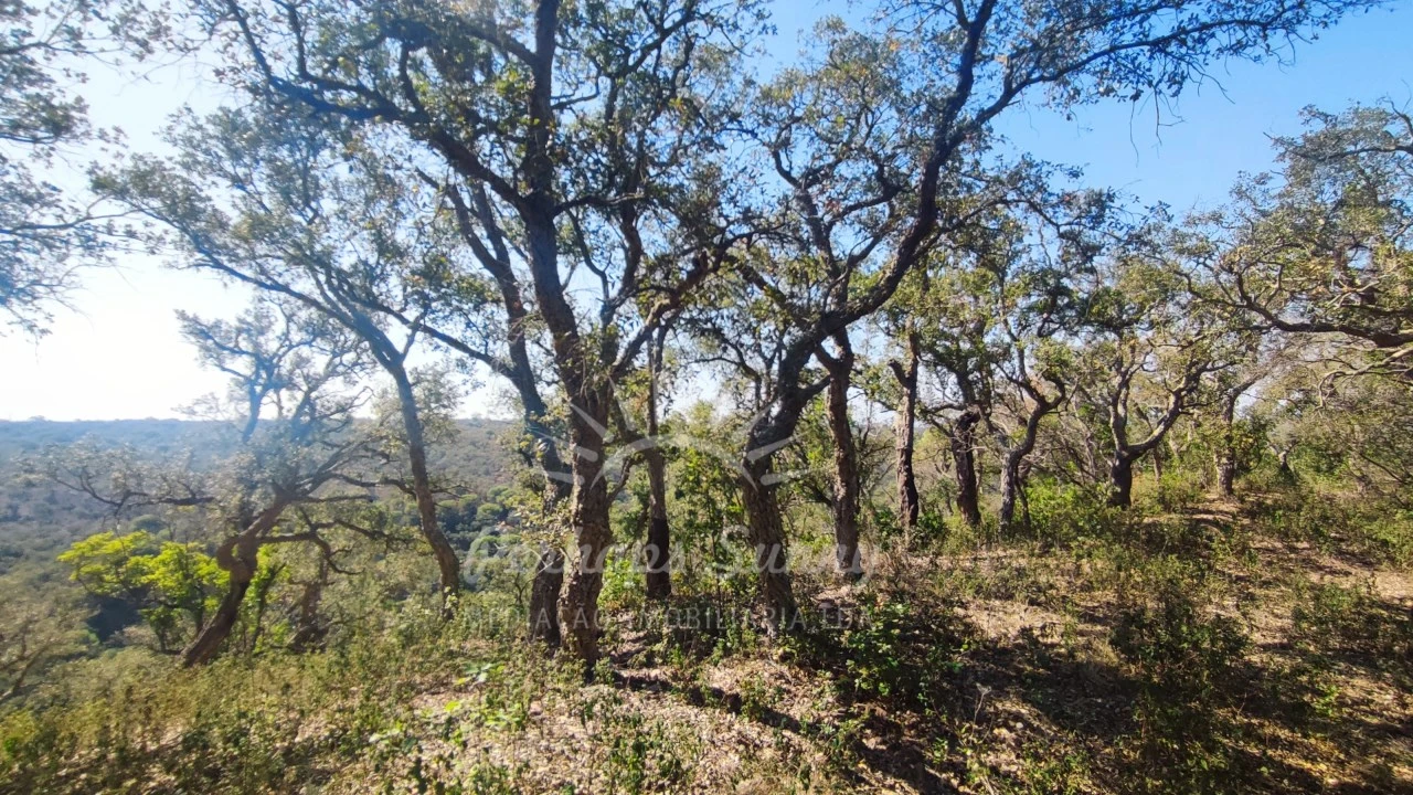 Terreno Agricola ou Rústico para Venda em São Francisco da Serra Foto 20