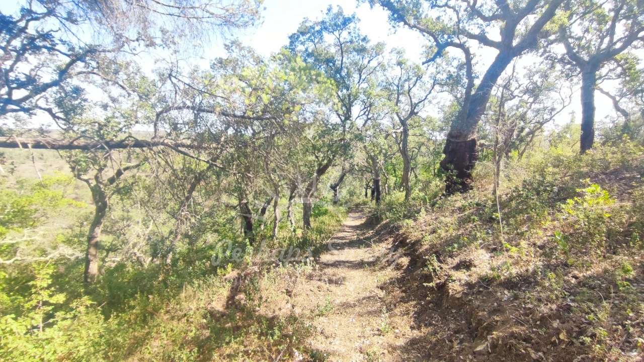 Terreno Agricola ou Rústico para Venda em São Francisco da Serra Foto 21