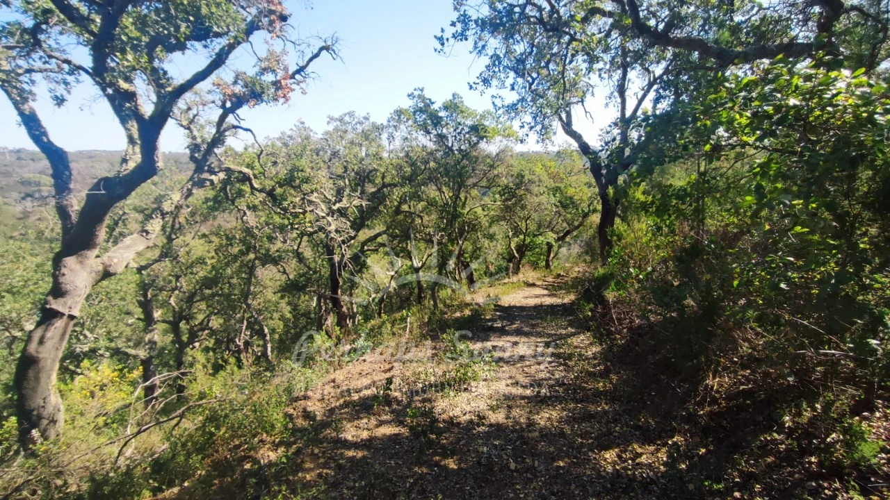 Terreno Agricola ou Rústico para Venda em São Francisco da Serra Foto 22