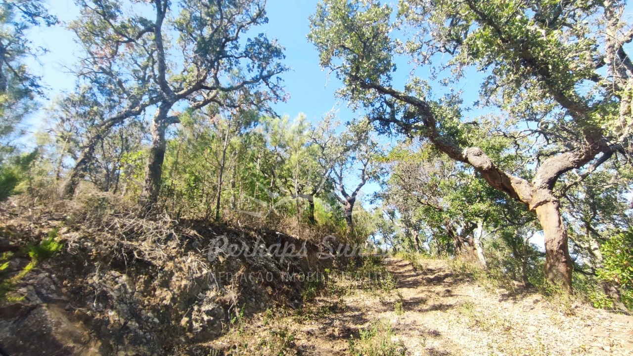 Terreno Agricola ou Rústico para Venda em São Francisco da Serra Foto 23