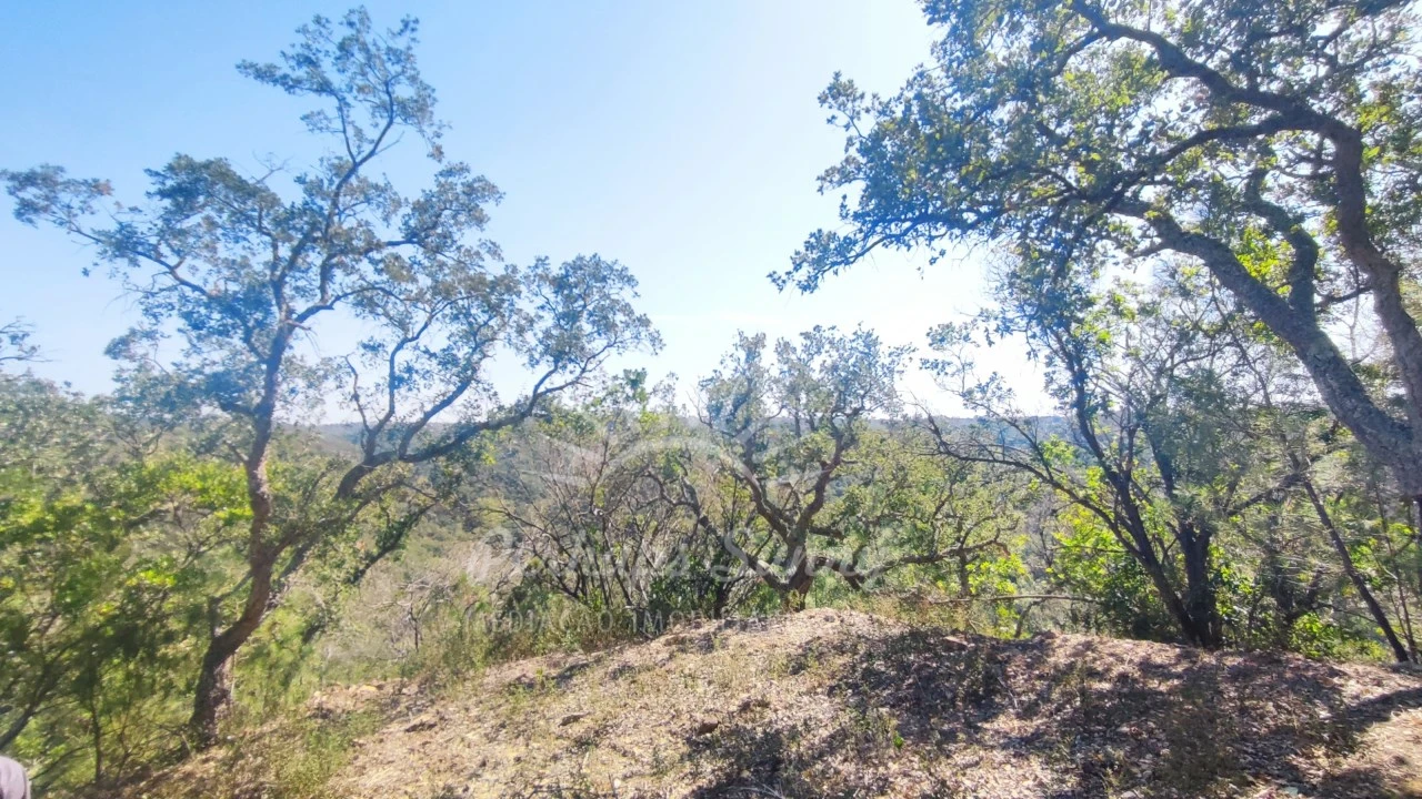 Terreno Agricola ou Rústico para Venda em São Francisco da Serra Foto 24