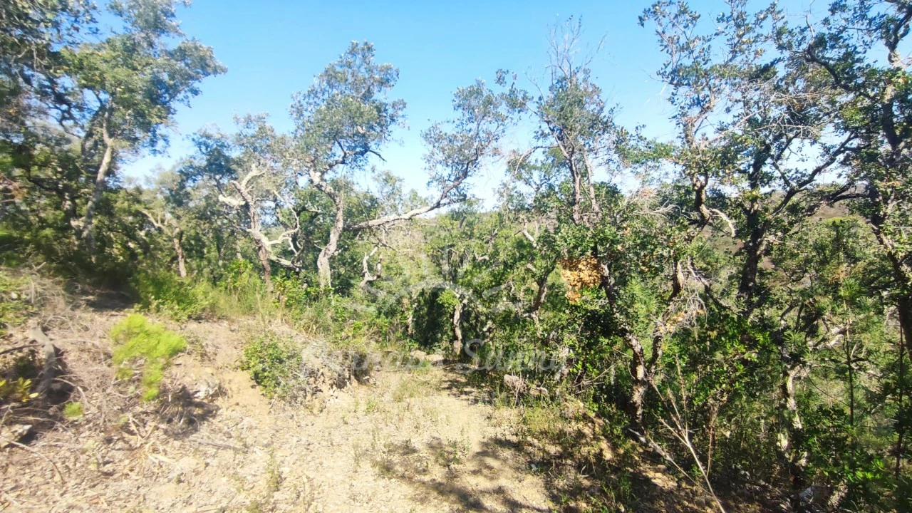 Terreno Agricola ou Rústico para Venda em São Francisco da Serra Foto 26