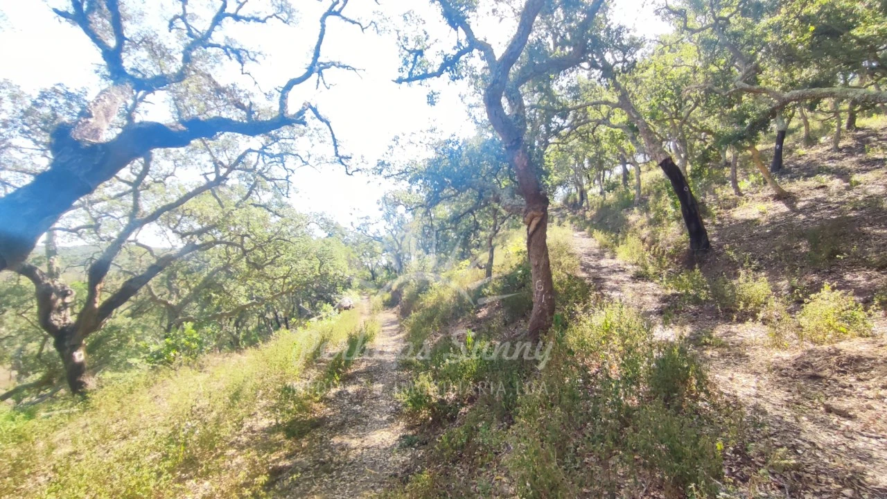 Terreno Agricola ou Rústico para Venda em São Francisco da Serra Foto 29