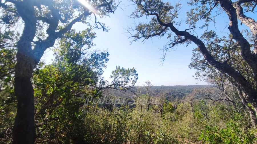 Terreno Agricola ou Rústico para Venda em São Francisco da Serra Foto 6