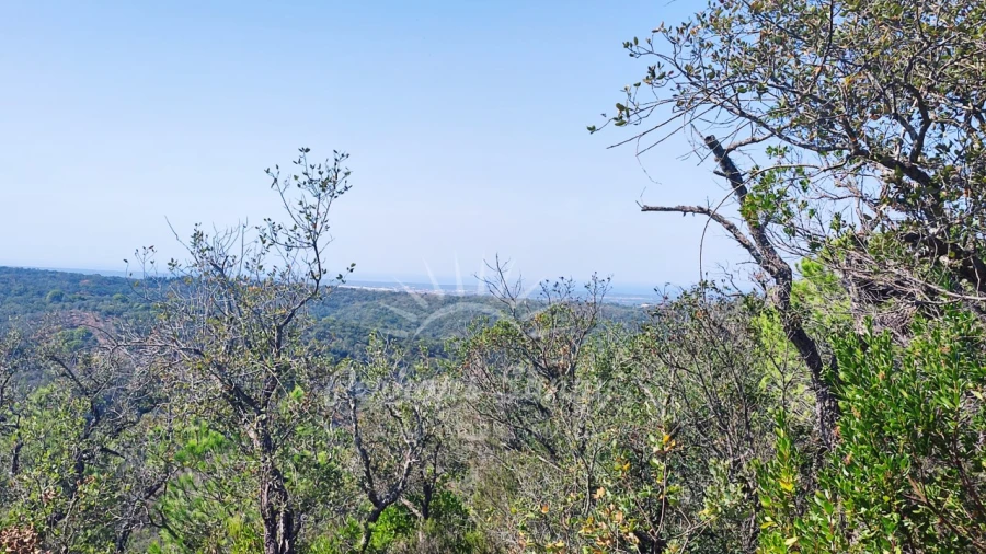 Terreno Agricola ou Rústico para Venda em São Francisco da Serra Foto 7