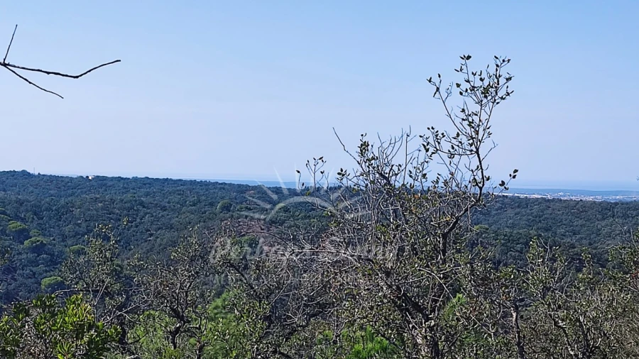Terreno Agricola ou Rústico para Venda em São Francisco da Serra Foto 11