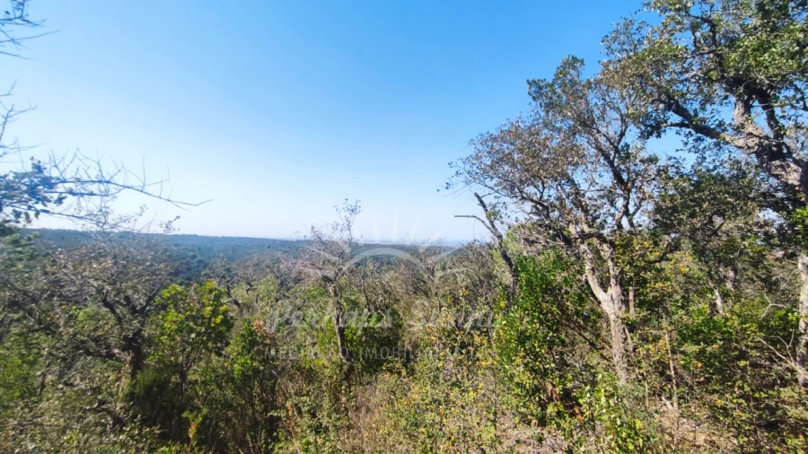 Terreno Agricola ou Rústico para Venda em São Francisco da Serra Foto 2