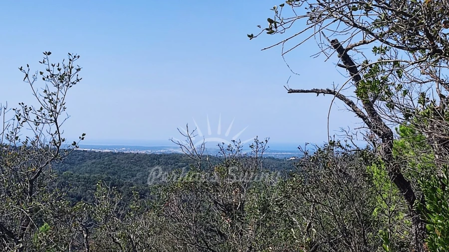 Terreno Agricola ou Rústico para Venda em São Francisco da Serra Foto 14