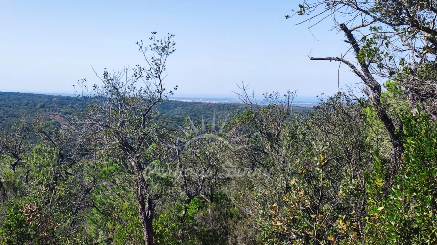 Terreno Agricola ou Rústico para Venda em São Francisco da Serra Foto 16