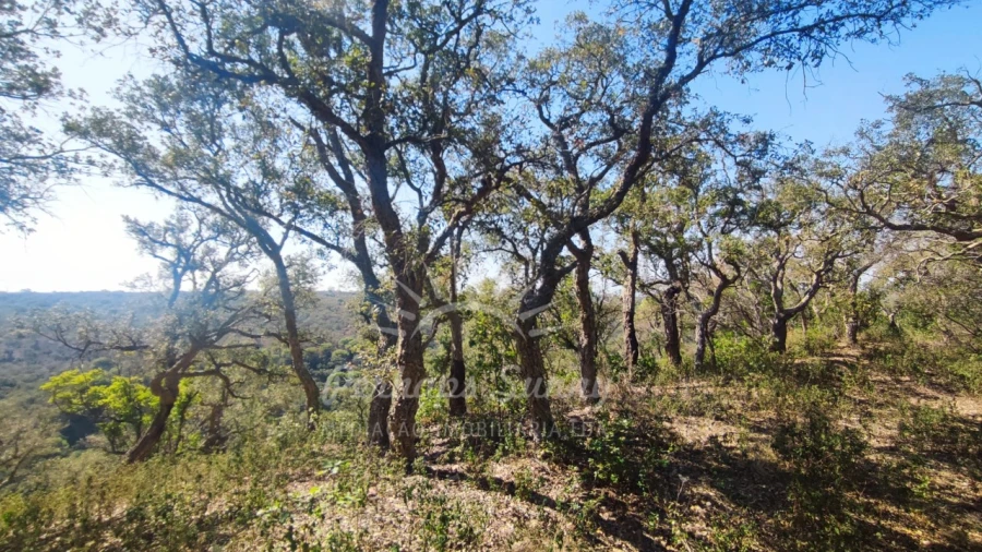 Terreno Agricola ou Rústico para Venda em São Francisco da Serra Foto 20