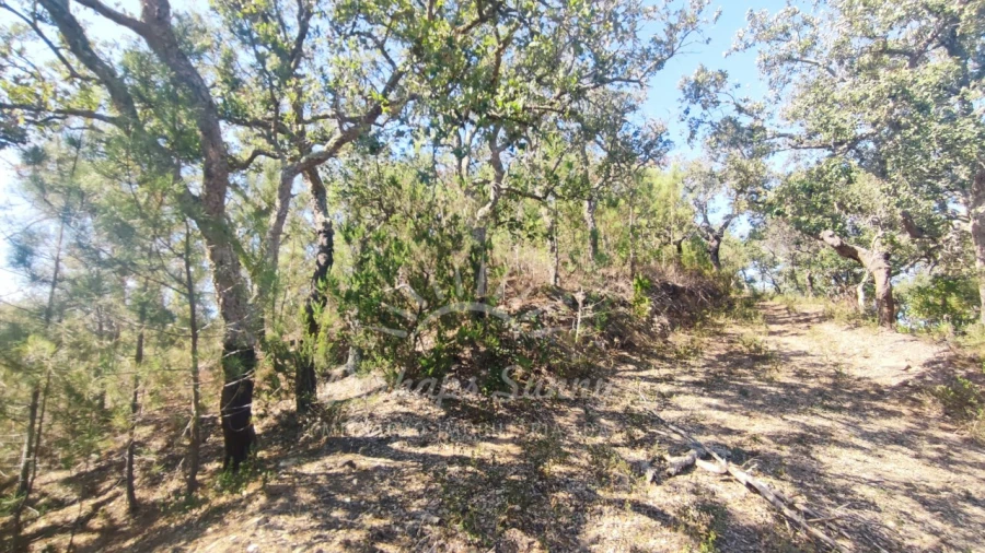 Terreno Agricola ou Rústico para Venda em São Francisco da Serra Foto 25