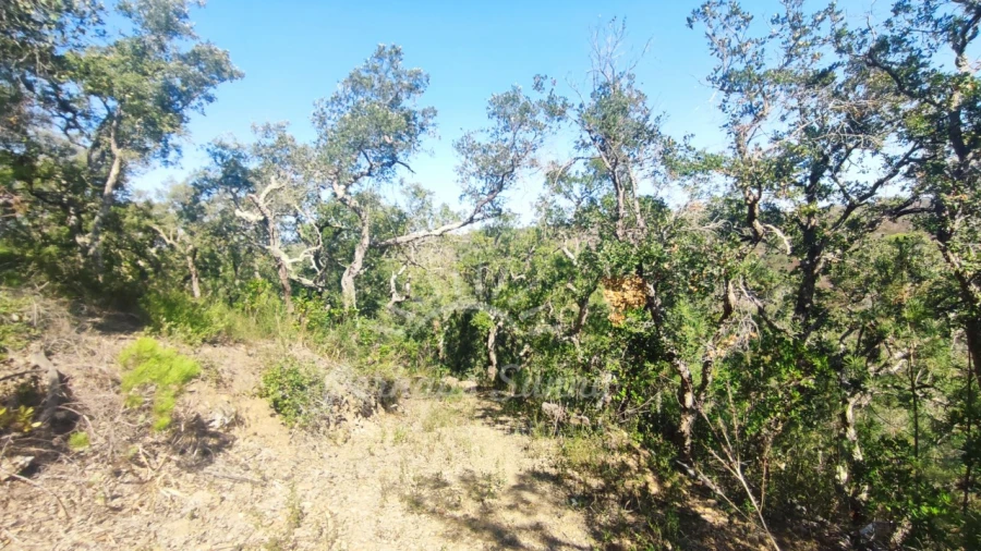 Terreno Agricola ou Rústico para Venda em São Francisco da Serra Foto 26