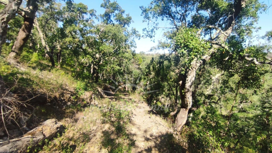 Terreno Agricola ou Rústico para Venda em São Francisco da Serra Foto 27