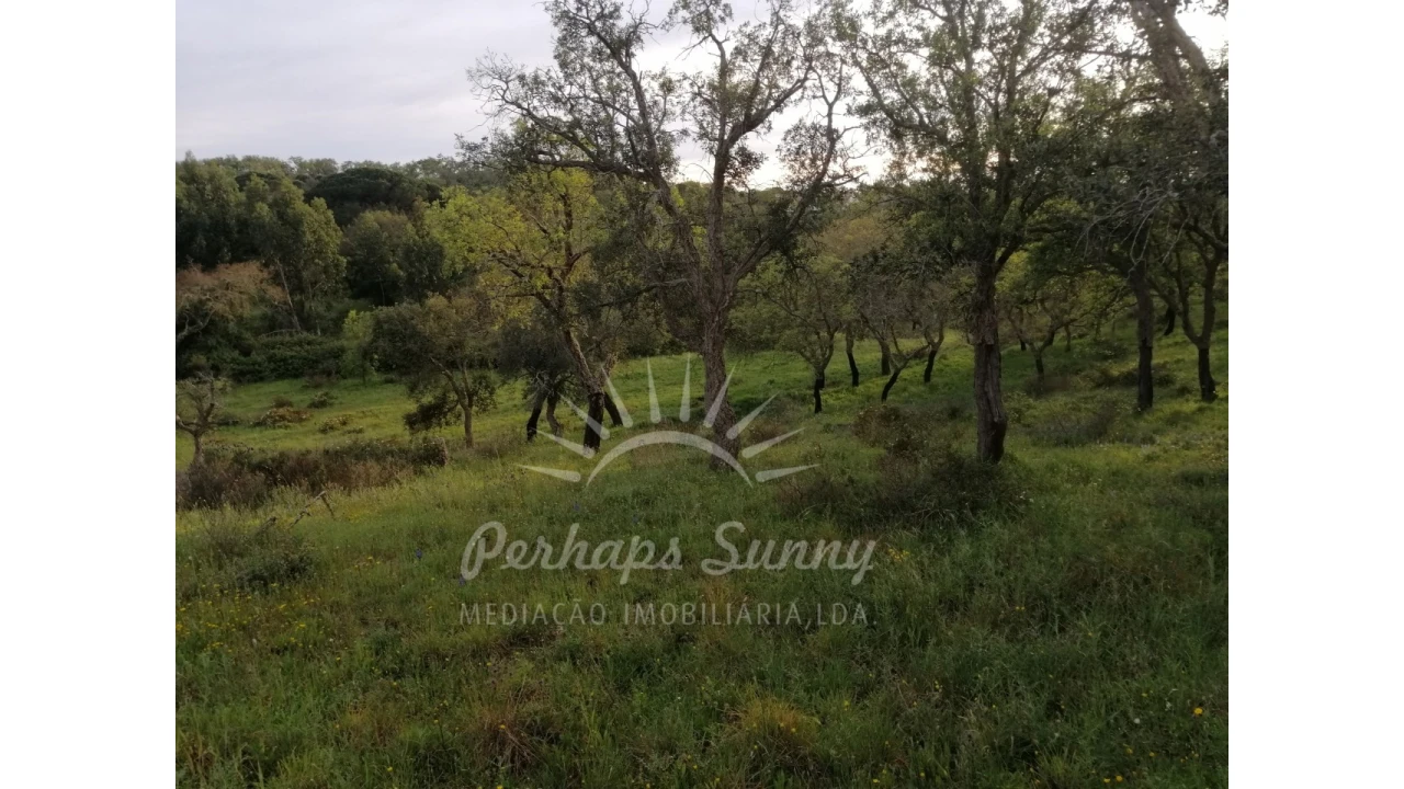 Terreno Misto para Venda em Grândola e Santa Margarida da Serra Foto 11